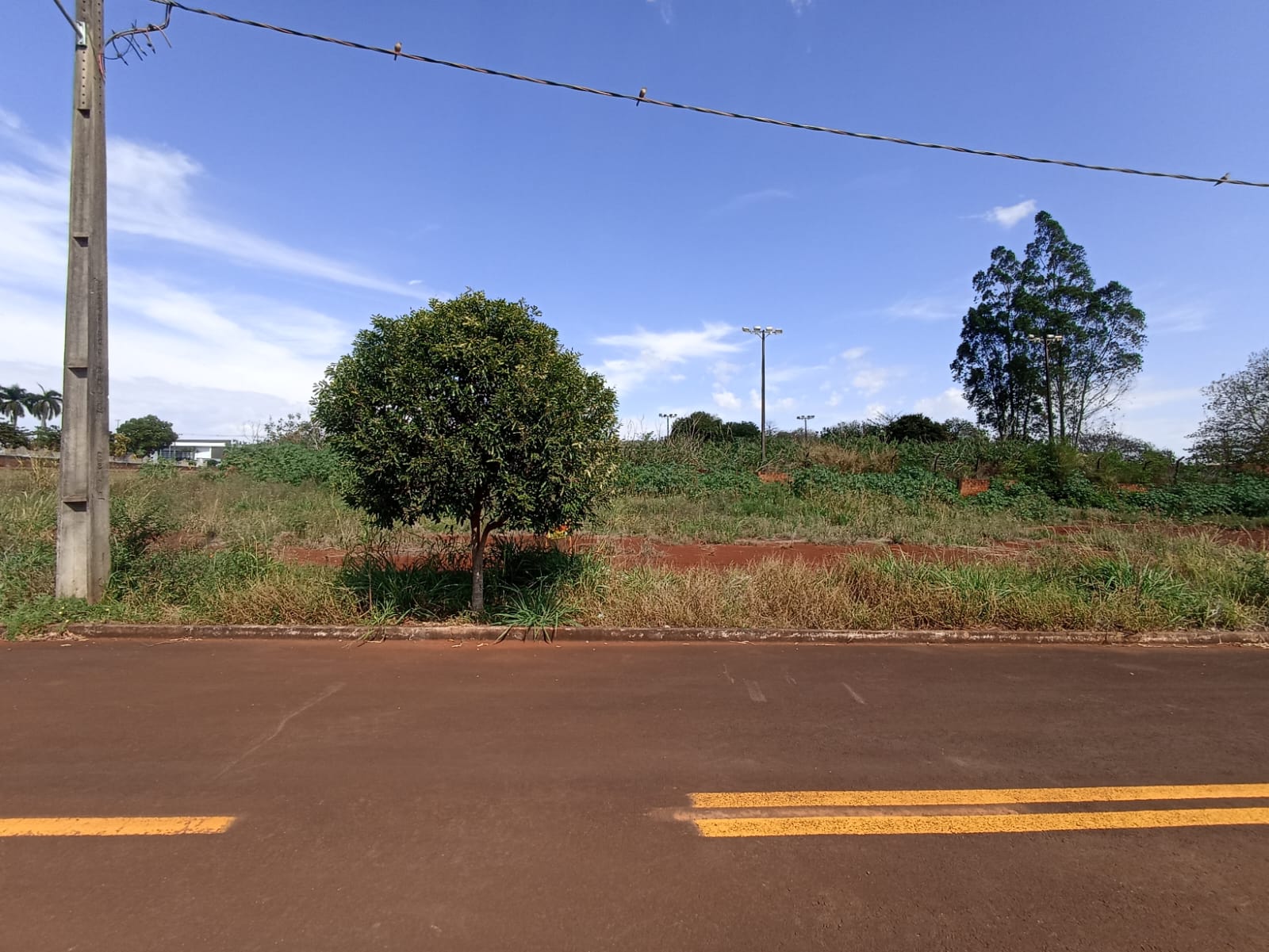 Terreno